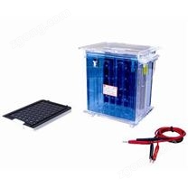 DYCZ-40A轉(zhuǎn)移電泳儀（大號(hào)）