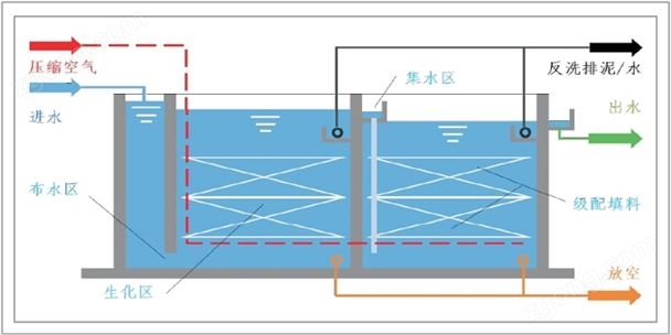 高效曝气生物滤池（BAF）