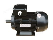 Y2D 系列变极多速三相异步电动机机