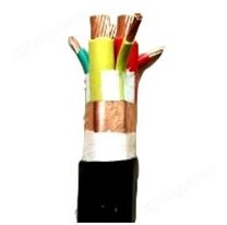 变频器专用电缆
