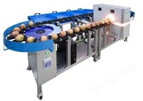 果品在線無(wú)損檢測(cè)設(shè)備