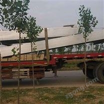 抓斗清污機(jī) 耙齒清污機(jī) 回轉(zhuǎn)式機(jī)械格柵除污機(jī) 各種型號(hào)