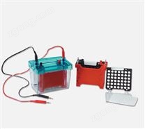 DYCZ-40D型迷你轉(zhuǎn)印電泳儀(小號(hào))