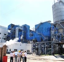 20t/h 循環(huán)流化床鍋爐